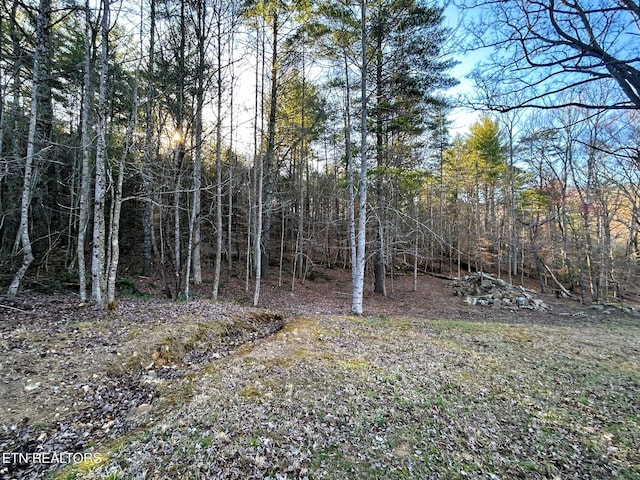 view of local wilderness featuring a forest view