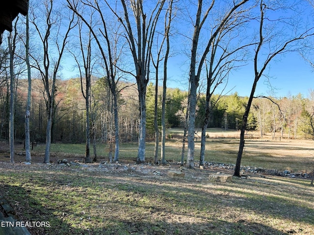 view of yard featuring a wooded view