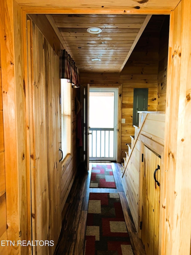 hallway featuring dark wood-style floors, wood walls, and wood ceiling