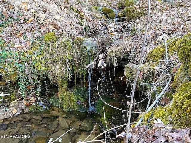 view of landscape featuring a forest view