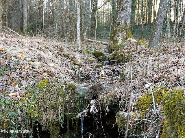 view of landscape with a wooded view