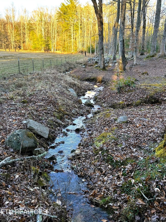 view of local wilderness featuring a view of trees