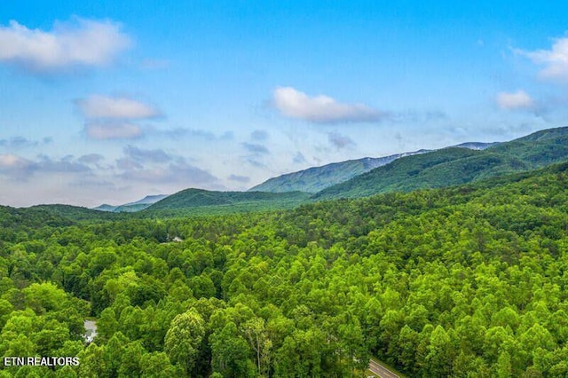 view of mountain feature featuring a forest view