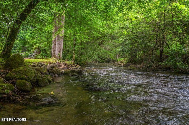 view of nature featuring a water view and a wooded view