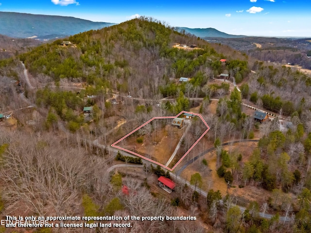 birds eye view of property featuring a mountain view