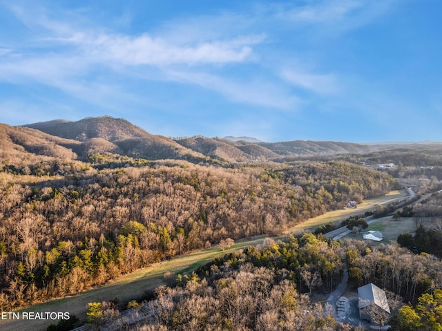 view of mountain feature with a forest view