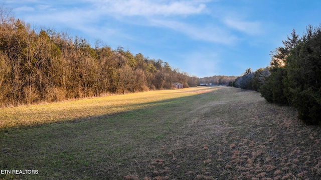 view of yard with a wooded view