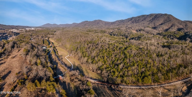 property view of mountains featuring a view of trees