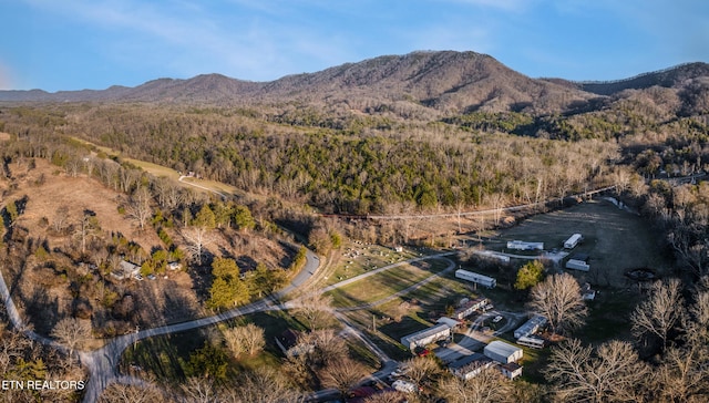 bird's eye view with a mountain view and a view of trees