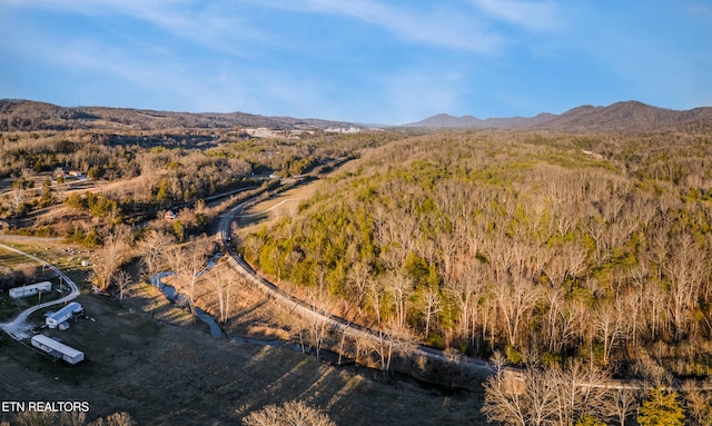 aerial view with a mountain view