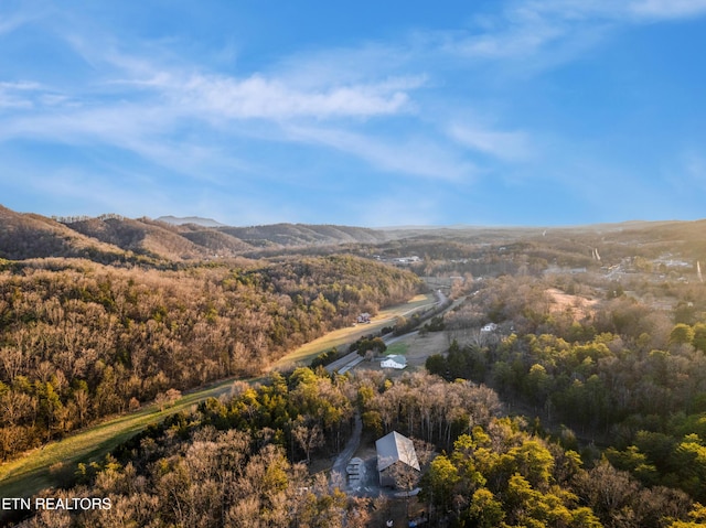 mountain view with a forest view