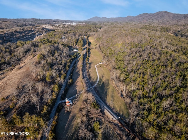 aerial view with a forest view and a mountain view