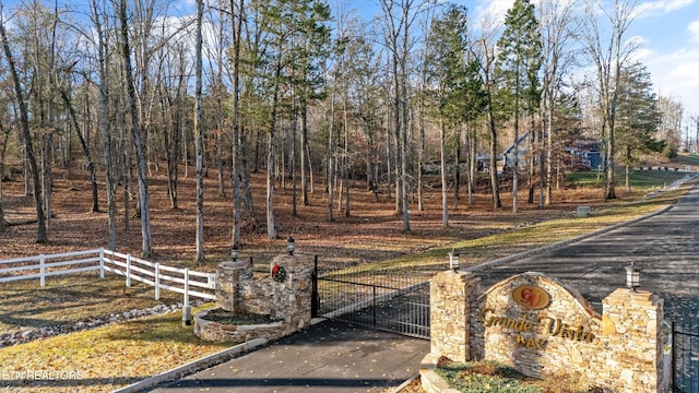 view of yard featuring a fenced front yard and a gate