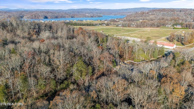 aerial view featuring a water view and a forest view