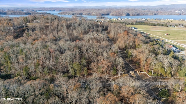 aerial view featuring a water view and a view of trees