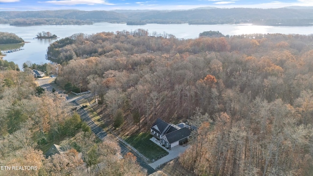 bird's eye view with a water view and a view of trees