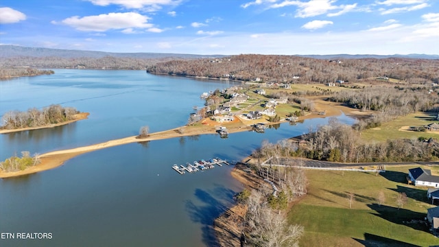 drone / aerial view with a water view and a forest view