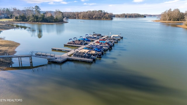 exterior space with a floating dock