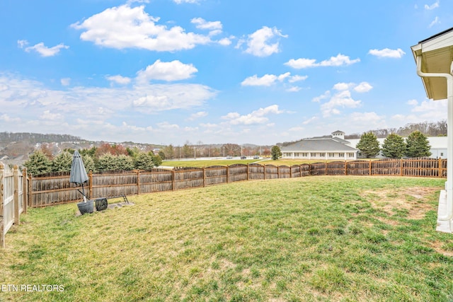 view of yard with a fenced backyard