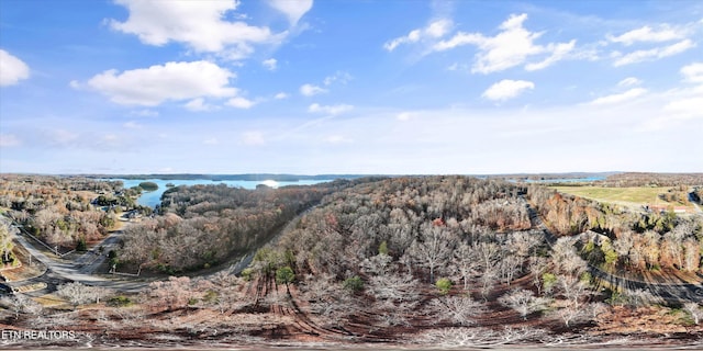 drone / aerial view featuring a water view and a wooded view