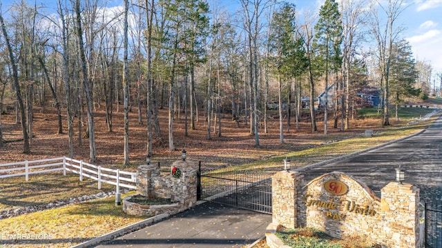 view of gate featuring a fenced front yard