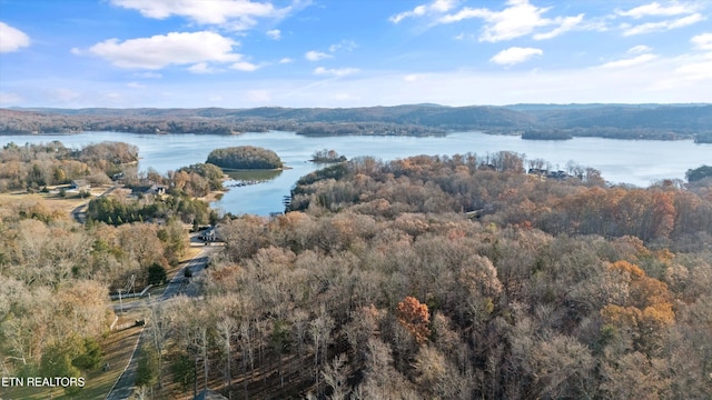 bird's eye view with a water view and a forest view