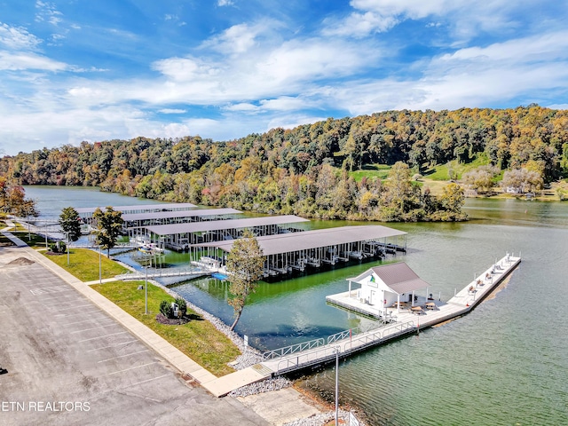 bird's eye view with a water view and a wooded view