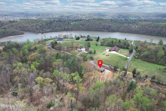 aerial view featuring a water view and a view of trees