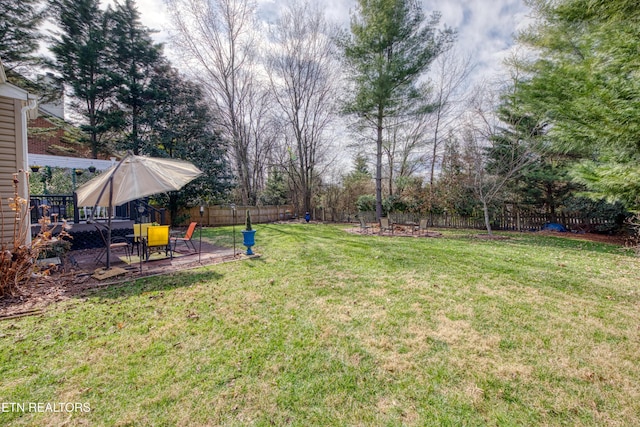 view of yard with a fenced backyard and a patio