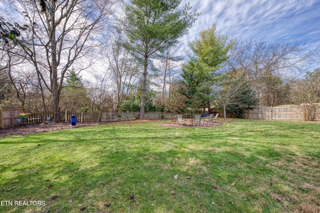 view of yard featuring a patio area and a fenced backyard