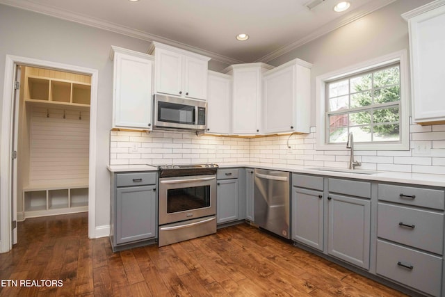 kitchen featuring dark wood-style floors, appliances with stainless steel finishes, gray cabinets, and a sink