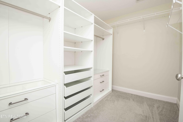 spacious closet with light carpet