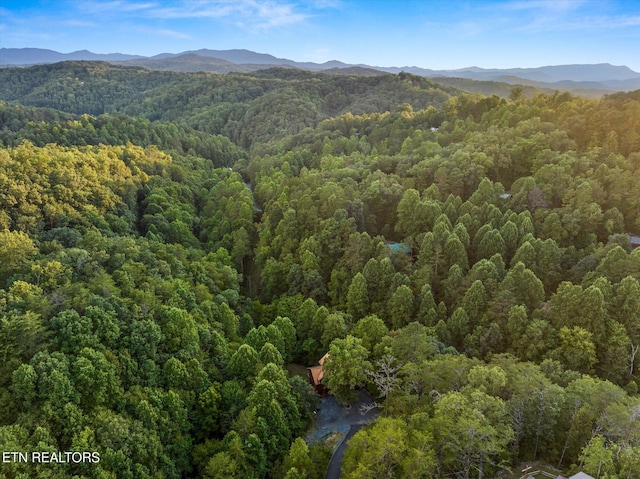 property view of mountains featuring a view of trees