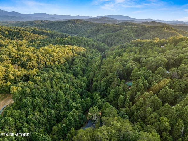 bird's eye view featuring a wooded view and a mountain view