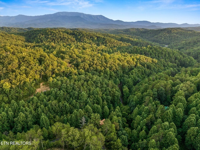 property view of mountains featuring a view of trees