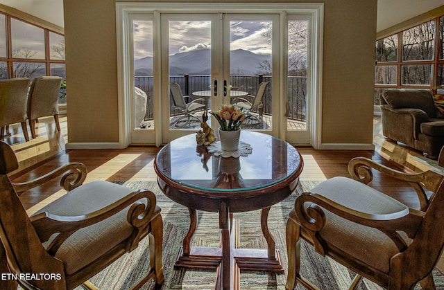 interior space with baseboards, french doors, a mountain view, and light wood-style floors