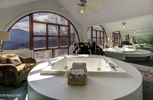 room details with a ceiling fan and a mountain view