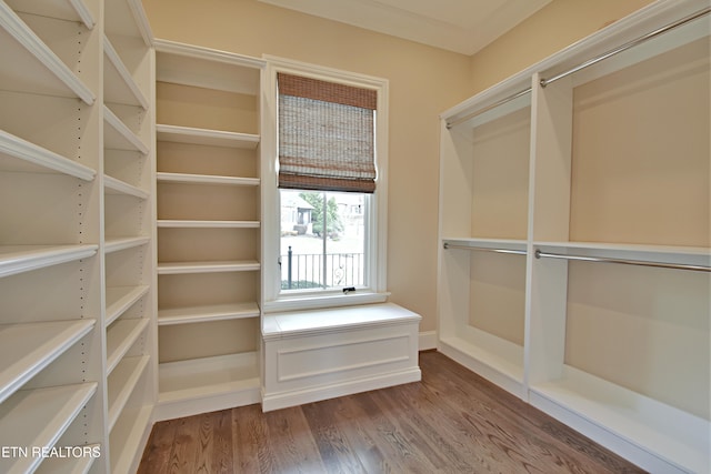 spacious closet with dark wood finished floors