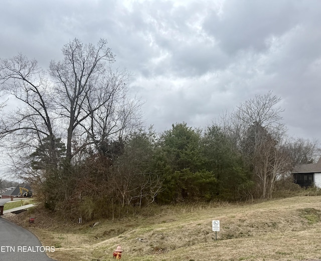 Arrowhead Blvd, Maryville TN, 37801 land for sale