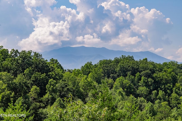 mountain view featuring a view of trees