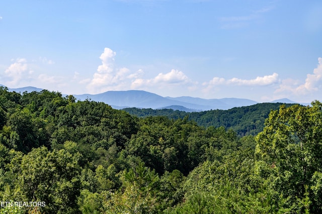 property view of mountains with a view of trees