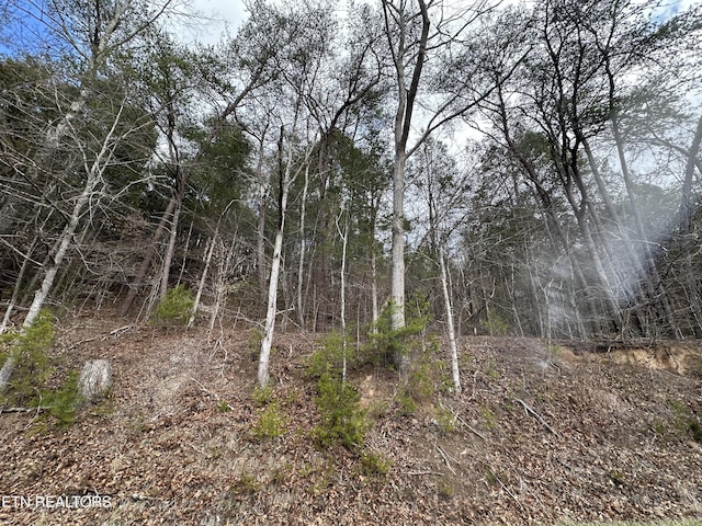 Listing photo 2 for Jones Cove Rd, Sevierville TN 37862