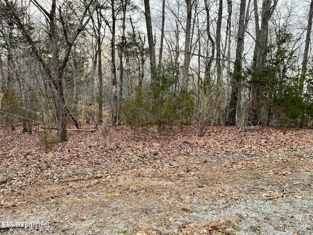 100 Odali Ln, Loudon TN, 37774 land for sale