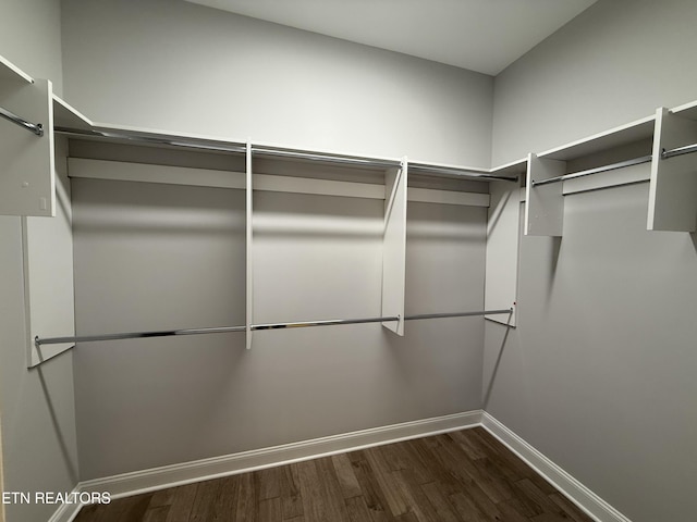 spacious closet featuring dark wood-style floors