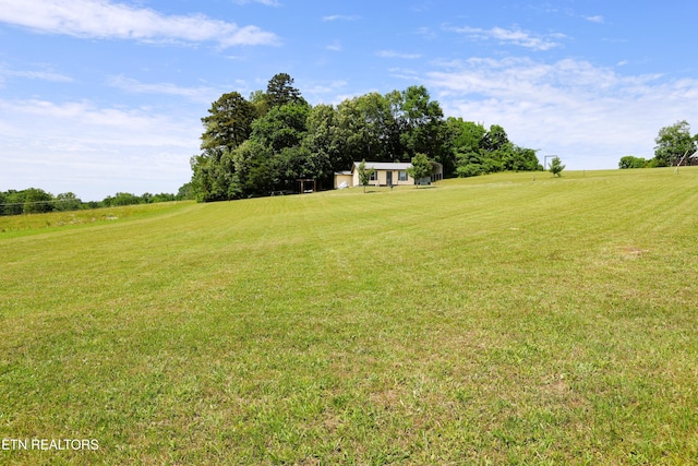 view of grassy yard