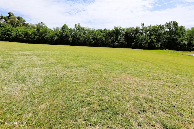 view of green lawn