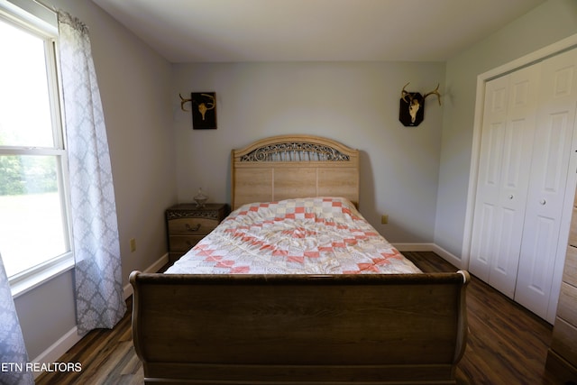 bedroom with multiple windows, dark wood-style flooring, and baseboards