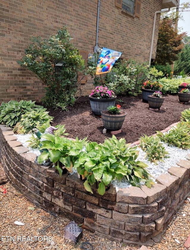 view of yard with a garden