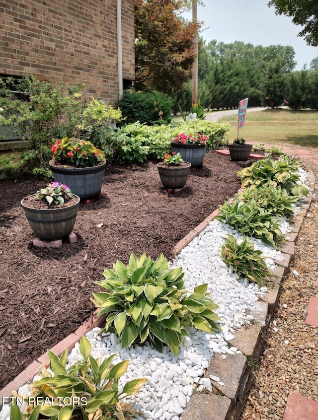 view of yard featuring a garden