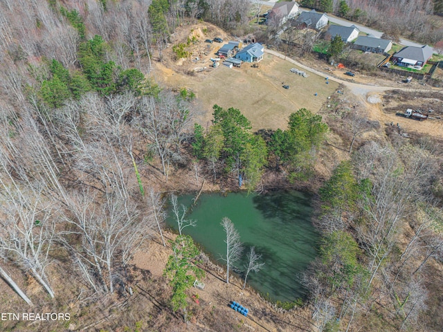 541 Dante Rd, Knoxville, TN 37918 - photo 4